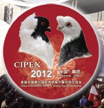 展会标题图片：2012年第二届中国廊坊国际秀鸽展示暨幼鸽交流会