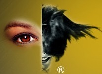 展会标题图片：2012第十七届中国国际美容化妆洗涤用品博览会(上海CBE)