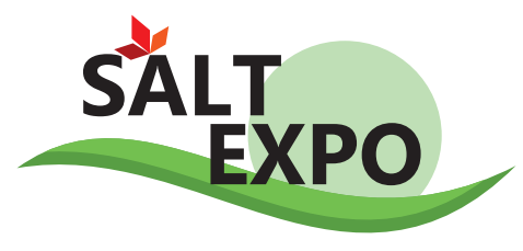 展会标题图片：2020全国盐产品、制盐设备及包装新材料展览会