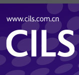 展会标题图片：2025中国国际锁具安防门业产品展（CILS）